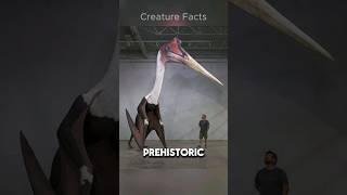 Prehistoric Animals That Still Live On Earth (PART 5)