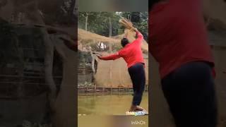 village boy net fishing video wow amazing #shorts #fishing#abdulsamifishing