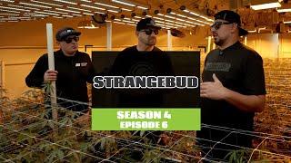 S4 EP6 STRANGE BUD | GROWING EXPOSED