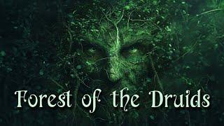 Forest of the Druids  - Celtic Fantasy Music  - Enchanting Wiccan Pagan Music 