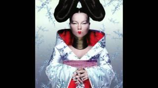 Bjork  Hunter  Homogenic