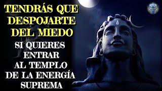 ¡Todo Es Conciencia! DESBLOQUEA LA ENERGÍA OCULTA QUE ESTÁ DENTRO DE TI | SABIDURÍA DEL MAESTRO