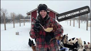 How To Incubate Chicken Eggs | Winter Homestead Chores