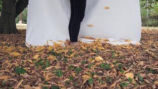 Stop a leaf from falling