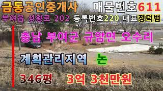 611롯데단지 가는 길목에 접한 밭 부여땅 부여부동산