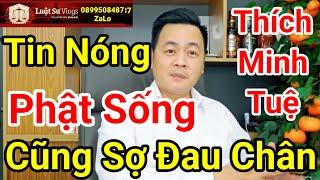  Trực Tiếp Đoàn Ông Thích Minh Tuệ Đến Ấn Độ Ngủ Đứng Mà Cũng Sợ Sưng Chân? Luật Sư Vlogs