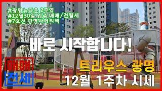 트리우스 광명 시세 12월1주 광명뉴타운 2구역 아파트 뉴타운현대부동산 #광명뉴타운 #광명아파트 #트리우스광명 #광명재개발 #광명사거리역 #광명시장