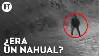 ¿Los nahuales existen? Captan en video a extraño ser caminando por la Sierra de Concordia