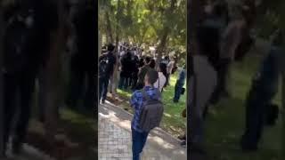 دانشگاه تربیت مدرس تهران - تا دانشجو زندانه هر روز همین بساطه! - ویدئو