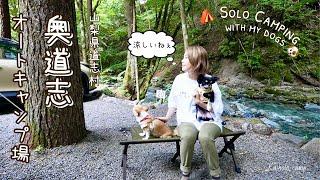 【50代女子ソロキャンプ】久しぶりにヤリスクロスでソロキャンプ｜奥道志オートキャンプ場｜EcoFlow DELTA 3 Plus｜Solo camping with my dogs, Vlog［48］