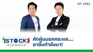 คัดหุ้นนอกกระแส....ขาขึ้นกำลังมา! | by Stock Signals EP.1,563