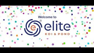 ⭐️Welcome to Elite Koi (Grimsby)⭐️