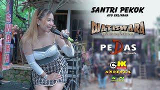 SANTRI PEKOK ~ AYU ERLIYANA ~ DJATISWARA LIVE PEDAS COMMUNITY