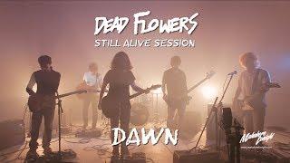 Dead Flowers - Dawn [Still Alive Session]