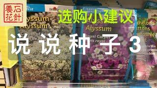 [石针养花]育苗选种子3（紫锥菊，庭荠花，耧斗花，百日草）