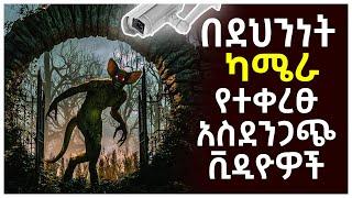 በካሜራ የተቀረፁ አስደንጋጭ ነገሮች | Abel Birhanu