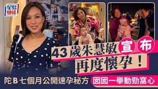 43歲朱慧敏宣布再度懷孕！陀B七個月公開私藏速孕秘方 囡囡一舉動勁窩心｜星島頭條新聞｜朱慧敏｜TVB｜懷孕｜港姐｜蛇年