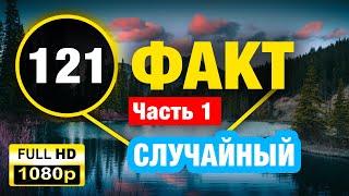 121 Случайный Факт от которого вы ОШАЛЕЕТЕ