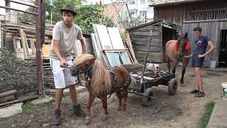 Plimbare cu poneiul, impreuna cu Petre si Vlad de la Zarnesti, Brasov - 2024 Nou!!!