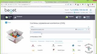 Хостинг beget.ru. Устанавливаем Wordpress