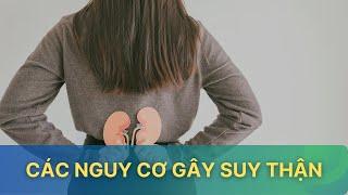 Những nguy cơ gây suy thận | VTV Sức khỏe