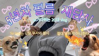 So many 갖은 무시와 멸시 속 살아남은 5년차 인테리어 필름 재단사 노가다 vlog