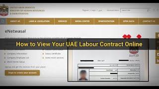 How to check your UAE labour contract information online?
