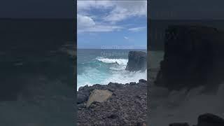 Маврикий. Mauritius. 毛里求斯。