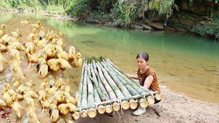 Building boats from bamboo - to take care of ducks.Sương thảo nguyên