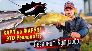 Безлимит Кутузово | Jara baits  Boxter ловит все | Начало осеннего сезона ловли форели