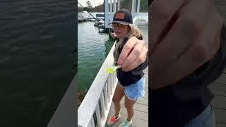 Windy day at The Slab Lab! Almost lost the camera but that gill was 24 oz #fishing #bluegill #shorts