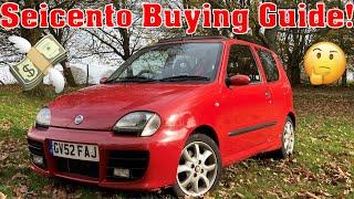 Fiat Seicento Buying Guide! Tiny Car, HUGE Fun, Small Money!