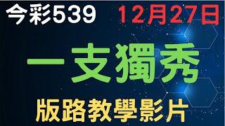 【今彩539】一支獨秀｜少年狼539｜12月27日｜版路教學影片