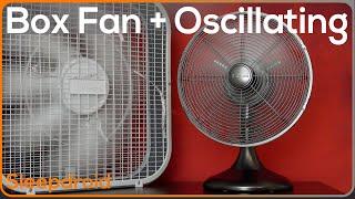 ►Box Fan ~Oscillating Fan Noise in Stereo. Rotating Fan White Noise. Box Fan | 10 hours for Sleeping