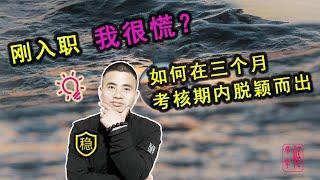 职场新人必看！如何在三个月考核期内脱颖而出？