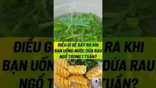 Điều Gì Sẽ Xảy Ra Khi Bạn Uống Nước Dứa Rau Ngổ #biquyetsongkhoetre #songkhoe #shortsvideo #health