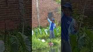 #mancingmania#mancing #memancing https://youtube.com/channel/UC3H2M7l3UB3RsAsbgDs78PA