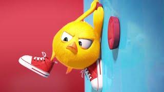 Chicky's New Sneakers | Where's Chicky? | Cartoon Collection in English for Kids | New episodes HD