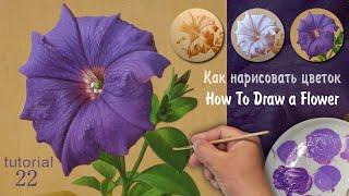 Как нарисовать цветок. Учимся рисовать цветы.
