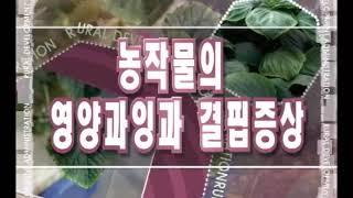 153. 손해평가사 실무, 농작물의 영양과잉과 결핍증상, '구독' 꾹좋아요~