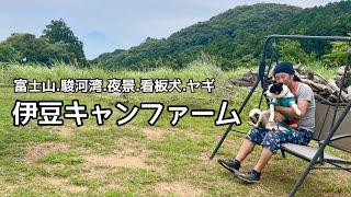 【西伊豆】看板犬と仲良くなりたい夏キャンプ