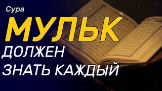 СУРА МУЛЬК ДОЛЖНЫ ЗНАТЬ ВСЕ МУСУЛЬМАНЕ, КТО ЗНАЕТ ЭТУ СУРУ ТОМУ БУДЕТ ОБЛЕГЧЕН СПРОС В МОГИЛЕ