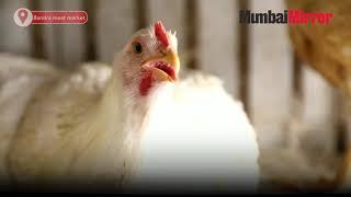 CONFIRMED! Bird Flu In Mumbai