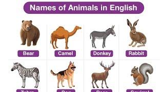 Names of Animals. Learn how to pronounce in English. @animals