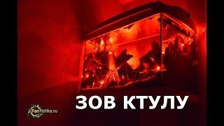 Оформление Horror-аквариума для начинающих "Зов Ктулу"