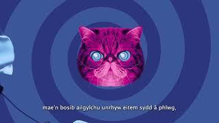 HypnoCat recycle your electricals welsh subtitles