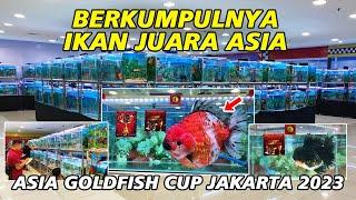 Berkumpulnya Ikan Juara ‼ Asia Goldfish Cup Jakarta 2023 Berkelas Internasional