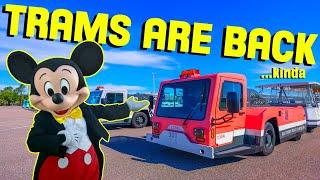 Disney Announces TRAMS are RETURNING!