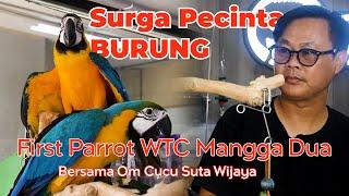 FIRST PARROT, Surganya Pecinta Burung Paruh Bengkok • Rooftop WTC Mangga Dua