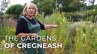 The Gardens of Cregneash: traditionally growing food and medicine